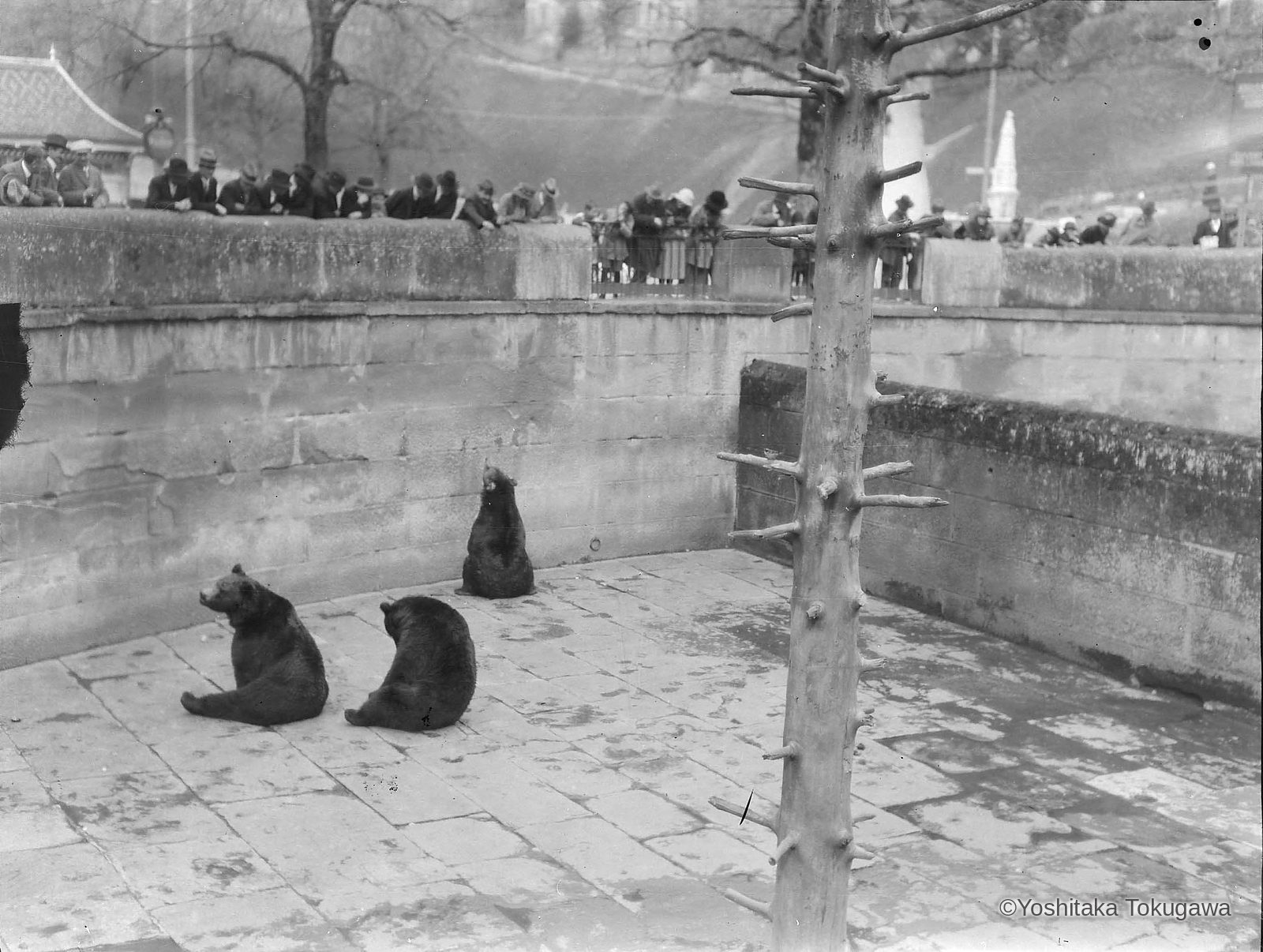 ベルン市内にある熊公園にて